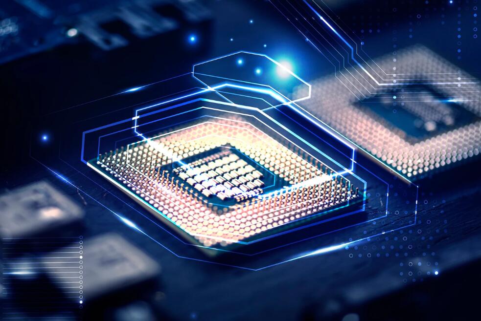 瑞丽哪里可以捡野生菌子 村民捡到巨型野生菌